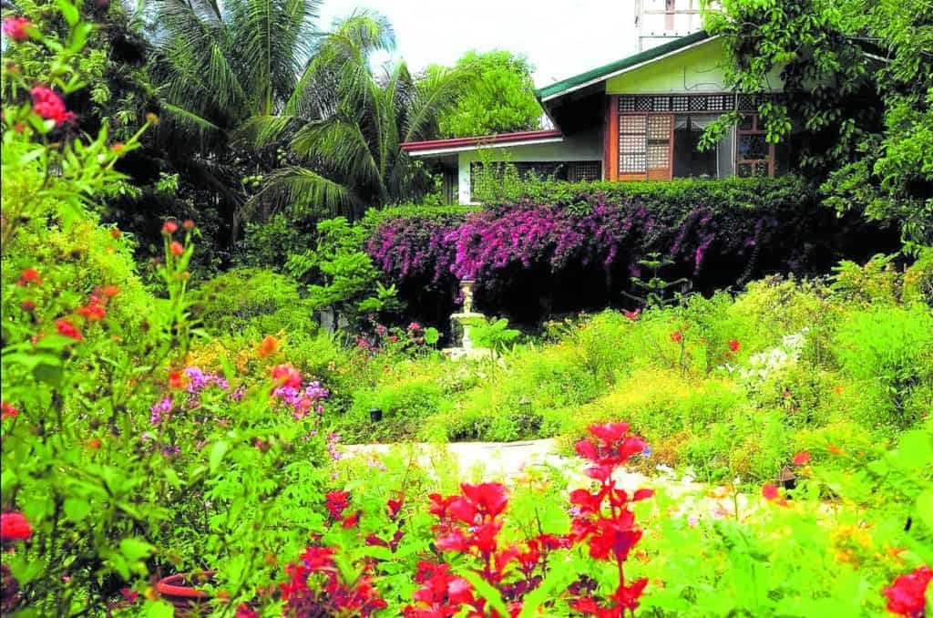 Since opening in 1998, Sonya’s Garden has grown increasingly popular for being a therapeutic escape for the weariest of souls.