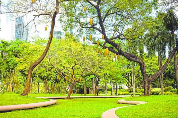 Ayala Triangle Gardens
