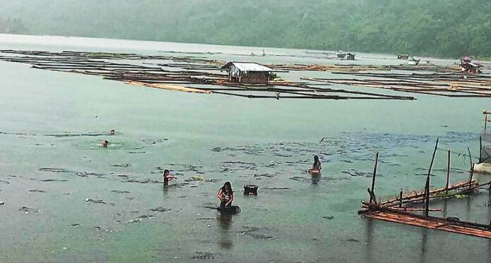 Palakpakin Lake
